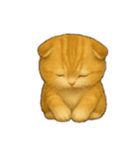 Wordless Cat Moods（個別スタンプ：18）