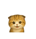Wordless Cat Moods（個別スタンプ：19）