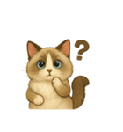 Wordless Cat Moods（個別スタンプ：20）