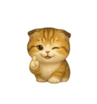 Wordless Cat Moods（個別スタンプ：21）