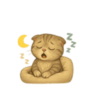 Wordless Cat Moods（個別スタンプ：24）