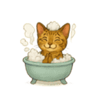 Wordless Cat Moods（個別スタンプ：27）
