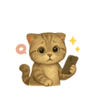 Wordless Cat Moods（個別スタンプ：28）