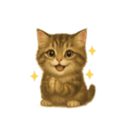 Wordless Cat Moods（個別スタンプ：31）
