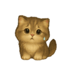 Wordless Cat Moods（個別スタンプ：36）