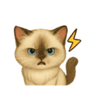 Wordless Cat Moods（個別スタンプ：38）