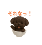おちゃわんわん トイプードル色違い4色（個別スタンプ：14）