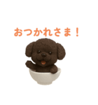 おちゃわんわん トイプードル色違い4色（個別スタンプ：15）