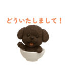 おちゃわんわん トイプードル色違い4色（個別スタンプ：16）