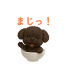 おちゃわんわん トイプードル色違い4色（個別スタンプ：19）