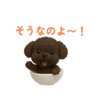 おちゃわんわん トイプードル色違い4色（個別スタンプ：20）