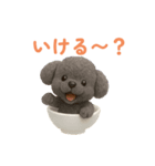 おちゃわんわん トイプードル色違い4色（個別スタンプ：22）