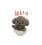 おちゃわんわん トイプードル色違い4色（個別スタンプ：23）