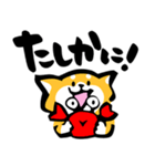 ふでしば【フェイス】相づち、返事（個別スタンプ：13）
