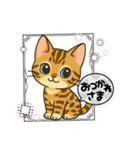 『ベンガル』のスタンプ（個別スタンプ：1）
