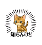 『ベンガル』のスタンプ（個別スタンプ：4）