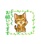 『ベンガル』のスタンプ（個別スタンプ：9）
