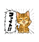『ベンガル』のスタンプ（個別スタンプ：14）