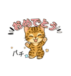 『ベンガル』のスタンプ（個別スタンプ：15）