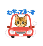 『ベンガル』のスタンプ（個別スタンプ：16）
