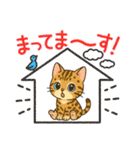 『ベンガル』のスタンプ（個別スタンプ：17）
