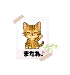 『ベンガル』のスタンプ（個別スタンプ：18）