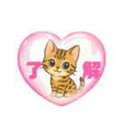 『ベンガル』のスタンプ（個別スタンプ：25）