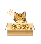 『ベンガル』のスタンプ（個別スタンプ：30）