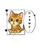 『ベンガル』のスタンプ（個別スタンプ：31）