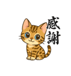 『ベンガル』のスタンプ（個別スタンプ：34）