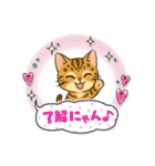 『ベンガル』のスタンプ（個別スタンプ：39）