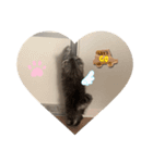 ROI-②（個別スタンプ：2）