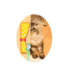 ROI-②（個別スタンプ：3）