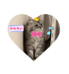 ROI-②（個別スタンプ：4）
