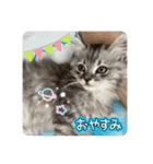ROI-②（個別スタンプ：5）