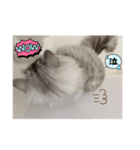 ROI-②（個別スタンプ：8）