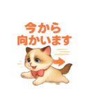 Conversations with Cats of Many Breeds15（個別スタンプ：1）