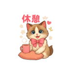 Conversations with Cats of Many Breeds15（個別スタンプ：36）
