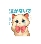 Conversations with Cats of Many Breeds15（個別スタンプ：37）