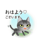 色々な猫7-1 短毛-立ち耳-サバトラ（個別スタンプ：1）