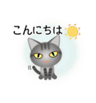 色々な猫7-1 短毛-立ち耳-サバトラ（個別スタンプ：5）