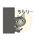 色々な猫7-1 短毛-立ち耳-サバトラ（個別スタンプ：6）