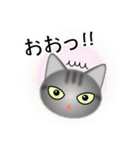 色々な猫7-1 短毛-立ち耳-サバトラ（個別スタンプ：10）