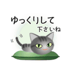 色々な猫7-1 短毛-立ち耳-サバトラ（個別スタンプ：12）