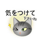 色々な猫7-1 短毛-立ち耳-サバトラ（個別スタンプ：14）