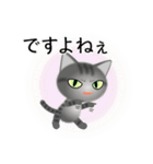 色々な猫7-1 短毛-立ち耳-サバトラ（個別スタンプ：23）