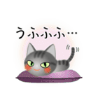 色々な猫7-1 短毛-立ち耳-サバトラ（個別スタンプ：25）