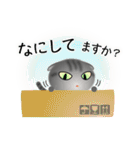 色々な猫7-2 短毛-垂れ耳-サバトラ（個別スタンプ：8）