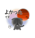 色々な猫7-2 短毛-垂れ耳-サバトラ（個別スタンプ：11）