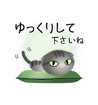色々な猫7-2 短毛-垂れ耳-サバトラ（個別スタンプ：12）
